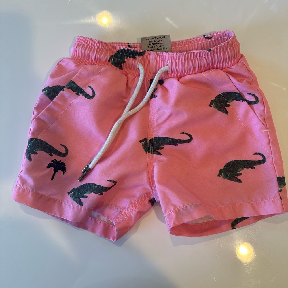 2T swim trunks